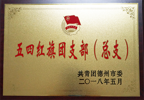 开云电子· (中国大陆)唯一官方网站
荣获“德州市五四红旗团支部”荣誉称号