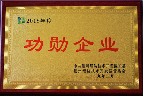 开云电子· (中国大陆)唯一官方网站
荣获2018年度功勋企业称号